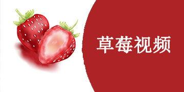 草莓视频官网下载地址,轻松获取热门视频资源